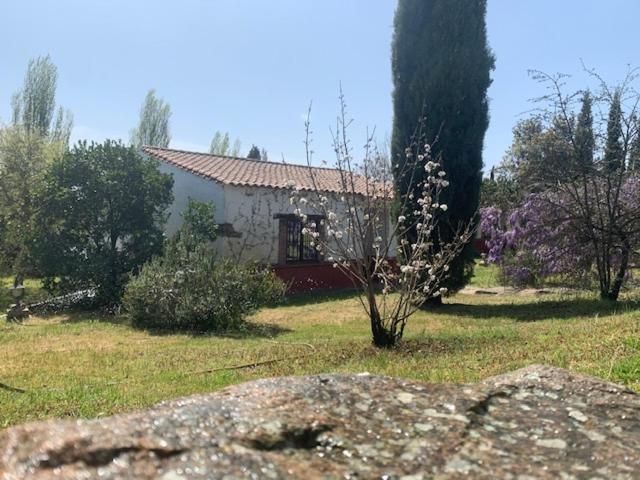 El Pueblo De Leo Hotel Badajoz Luaran gambar