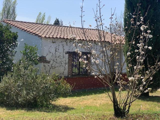 El Pueblo De Leo Hotel Badajoz Luaran gambar