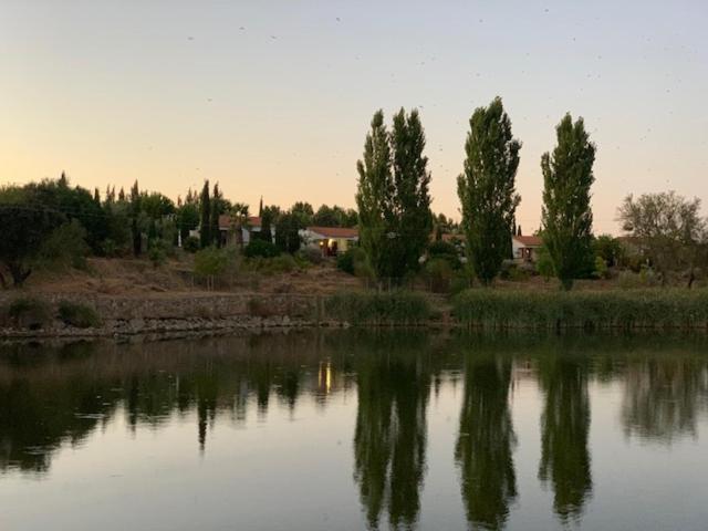 El Pueblo De Leo Hotel Badajoz Luaran gambar